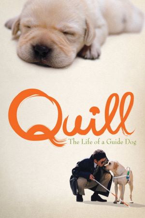 Quill - Ein Freund für´s Leben