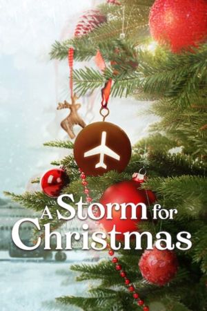 Ein Sturm zu Weihnachten